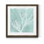 Algue sur le turquoise VII-impression sur papier encadrée-439827477-439827482-439872409