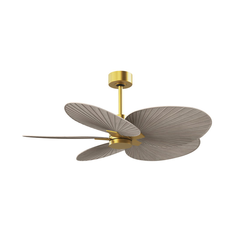 Alessandra - Five Blade Ceiling Fan, Brushed Brass, Gray Ash Tone