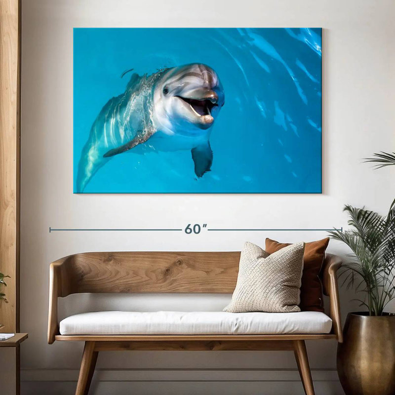 Brampt Dolphin's Smile