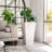Pot Planter-1456583732