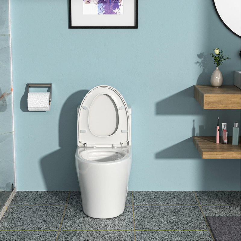 Ceramic Dual Flush Toilet With Long-Lasting Finish And Seat High Strong Serene