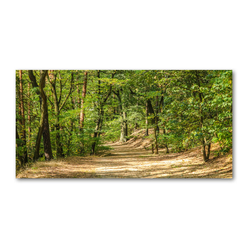 Forest Track - No Frame Print on Canvas