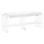 Renee Acrylic Long Bench