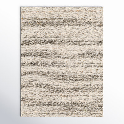 Amasa Beige Rug