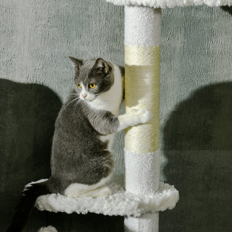 Arbre à chat du sol au plafond avec poteaux à griffer