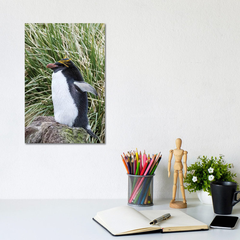 Macaroni Penguin Standing In Colony In Typical Dense Tussock Grass by Martin Zwick - Wrapped Canvas Print