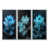 Argent argent sélectionné