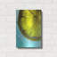 «Lemon Wheel» par Dana Brett Munach-670565673