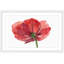 Glenda Roberson - Single Picture Frame Painting-20661674
