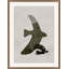 Night Bird 4 Print by Nathan Turner
