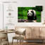 Panda se promenant-111979351