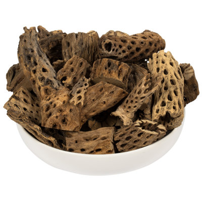 4 -18" Assorted Cholla Odds & Ends bulk case. Dried