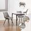 45.5cm H Velvet Upholstered Side Chair-104471205