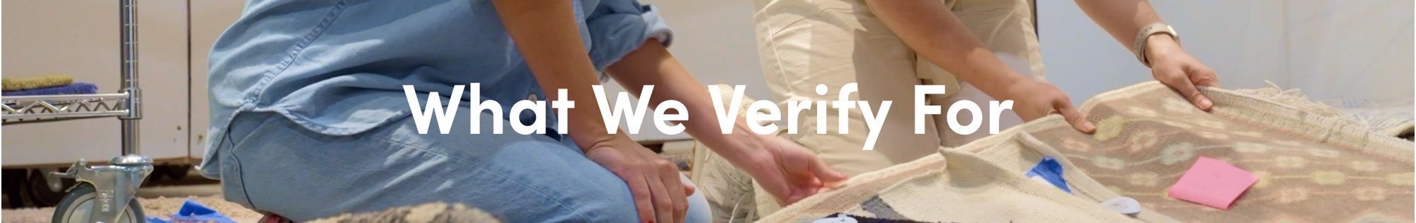 What We Verify For