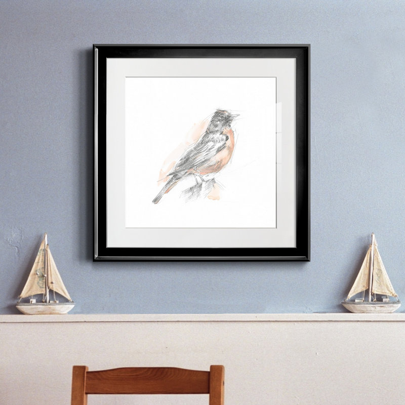 «Robin Bird S croquis I», reproduction encadrée de qualité supérieure - prête à être accrochée, Papier avec cadre noir, Blanc