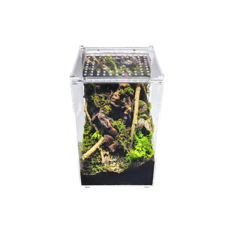 Acrylic Reptile Terrarium, 2 Gallon - 9.5"H x 6"W x 6"D