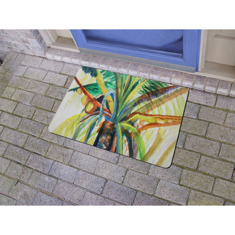 Anatilde Non-Slip Doormat