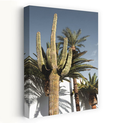 Art contemporain, paysage abstrait, palmier, cactus