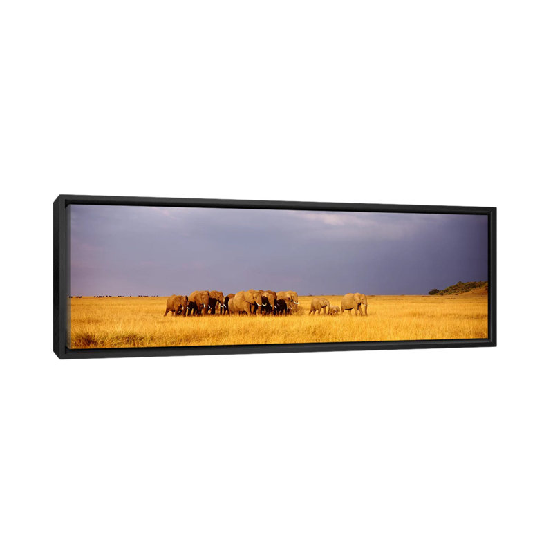 «Elephant Herd, Maasai Mara Kenya», reproduction de photo sur toile, H 16 po x l 48 po x P 1,5 po, Cadre noir