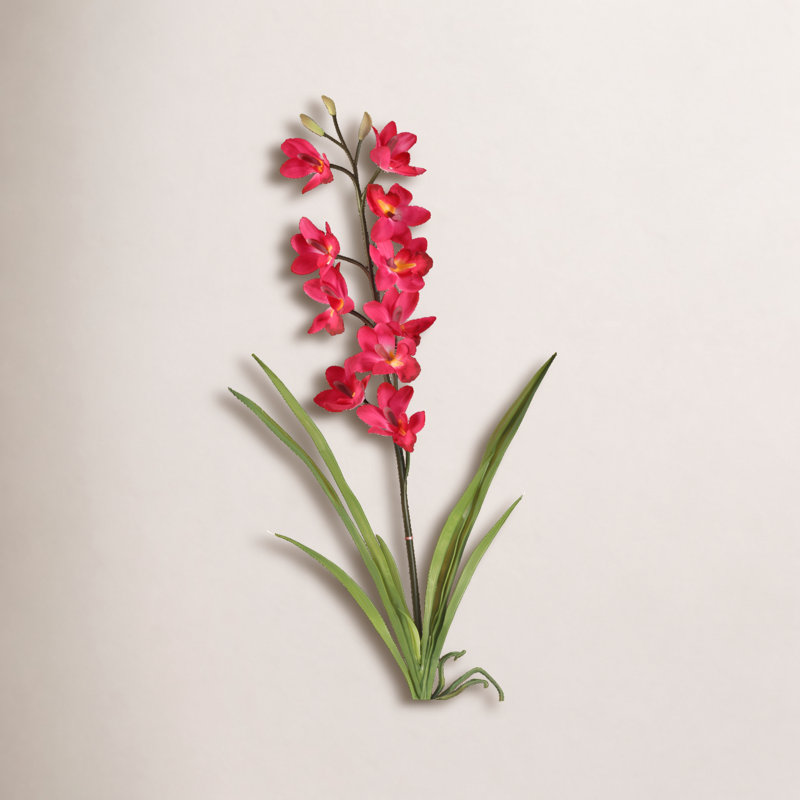Orchid Arrangement