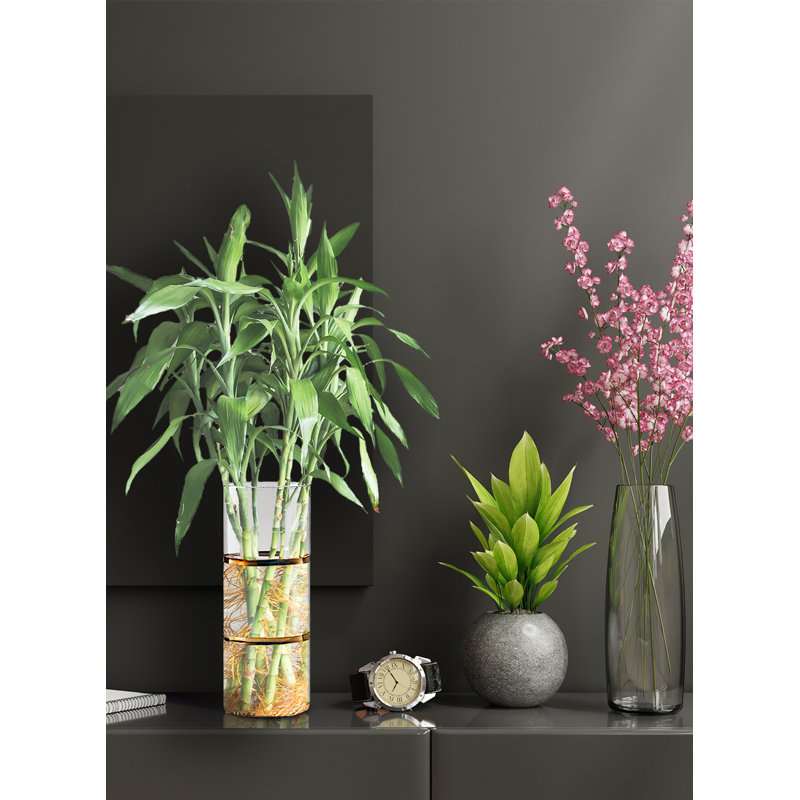 Glass Table Vase, 10" H x 4" W x 4" D