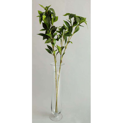 PIERIS JAPONICA*5 FLOWERS 80''