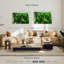 Palmier forêt-2126854793-2126854788