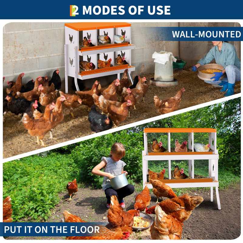Chicken Coop, Orange