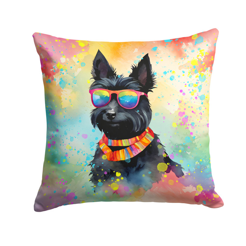 Other/No Pattern Outdoor Throw Pillow, Square, 18"H x 18"W