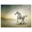 «White Horse in Motion», impression sur toile tendue-25565598