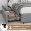 Base de lit tapissier avec 2 tiroirs de rangement Modern-746078609-746078614