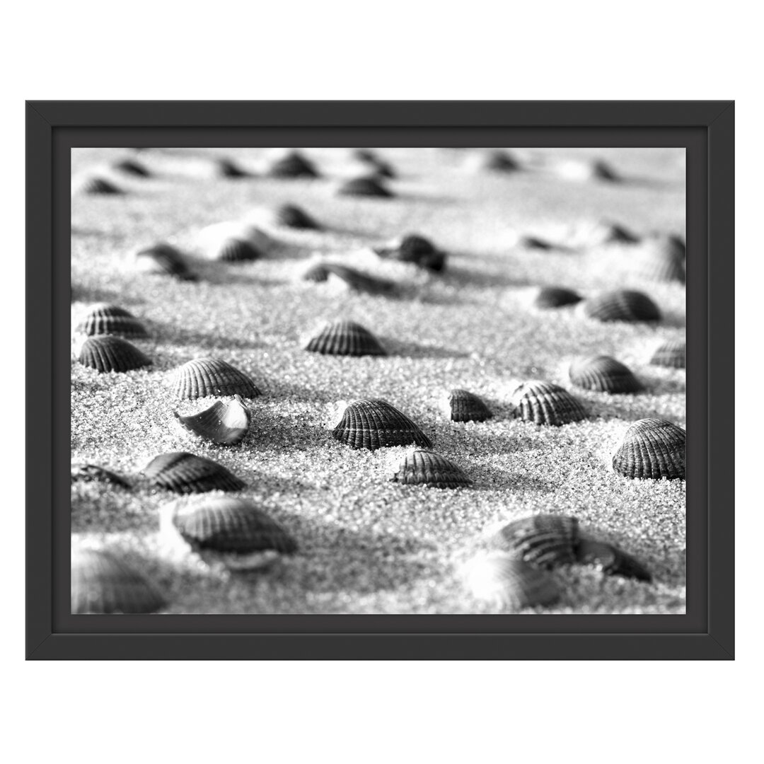 Gerahmtes Wandbild MuschelnSand Kunst B&W