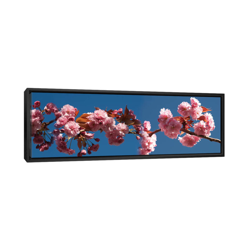 A Branch of Cherry Blossoms, reproduction de photo sur toile tendue, Toile encadrée noire, H 20 po x l 60 po x P 1,5 po