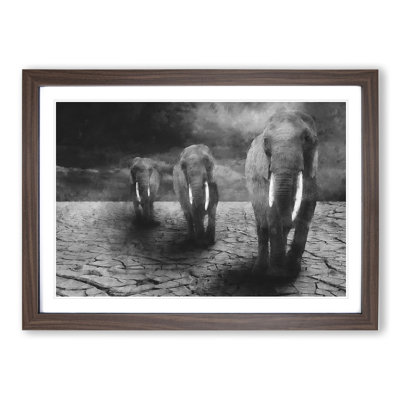 Three Elephants - Picture Frame Graphic Art