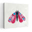 Collage insectes I, papillon contemporain-1669981500