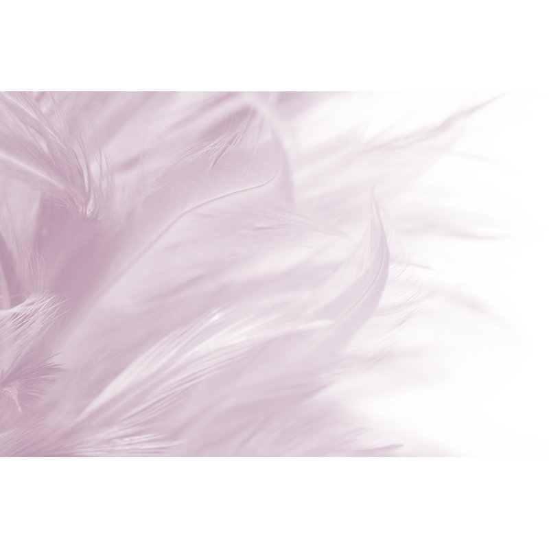 Feathers by Nadtytok - Wrapped Canvas Print, 20cm H x 30cm W
