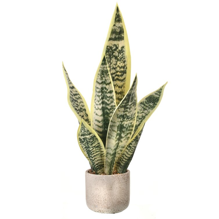 Faux Snake Plant in Speckled Pot