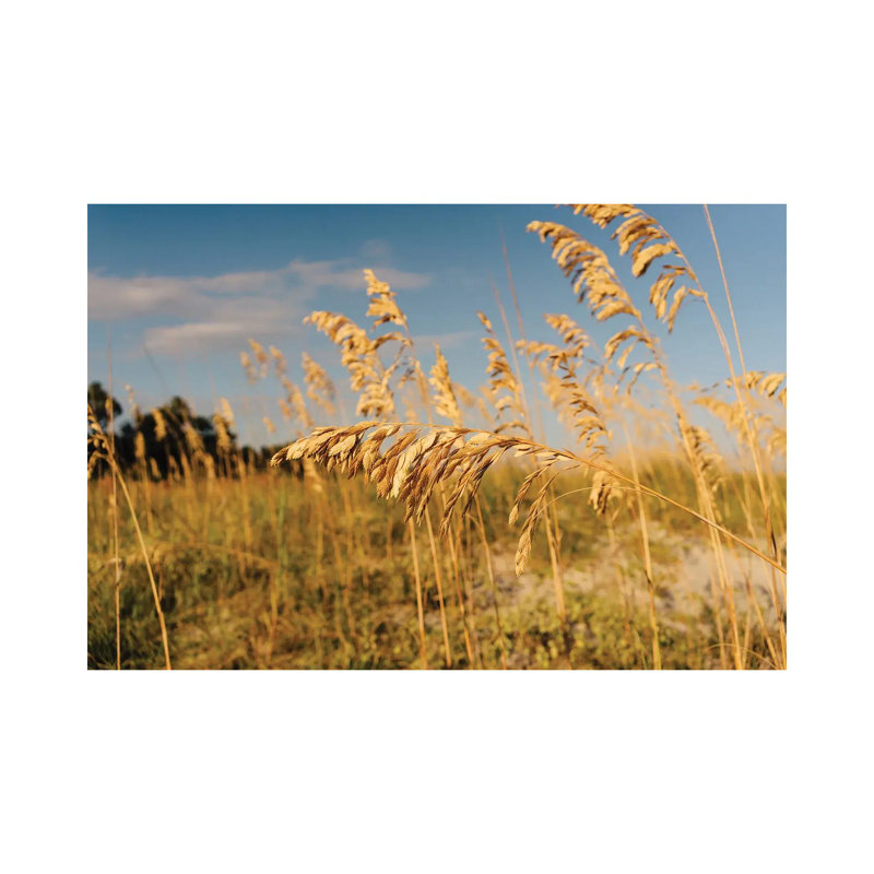 Hilton Head Island 1 Piece Wall Art on Canvas, 45.72cm H x 66.04cm W x 3.81cm D, Wrapped Canvas