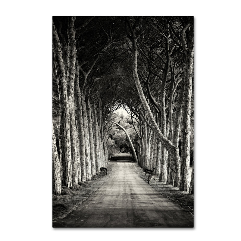 Art mural sur toile tendue - art mural Sandra «Path» pour le salon, la chambre à coucher ou le bureau - 12 x 19