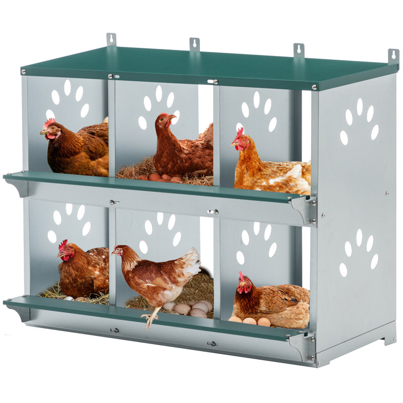 Boîte de nidification pour poulet avec 6 chambres en métal, acier galvanisé, assemblage facile