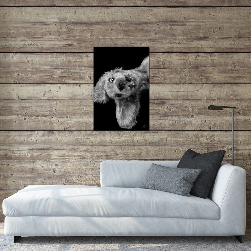 " Freaky Friday " by Kathrin Federer, 24" H x 16" W x 0.25" D