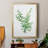 " Eucalyptus III "-1947160342-1947160338