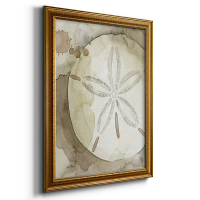 " Dry Sand Dollar II " Painting Print