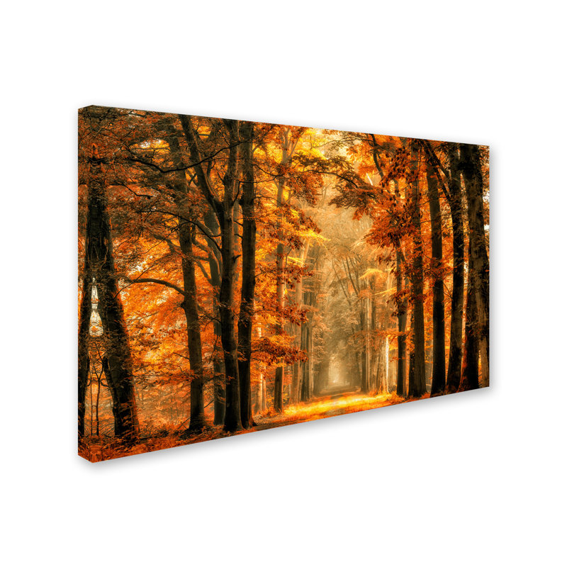 « exit the portal », reproduction de photo sur toile tendue, H 12 po x l 19 po