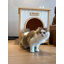 Niche pour chien avec toit amovible Jabarion