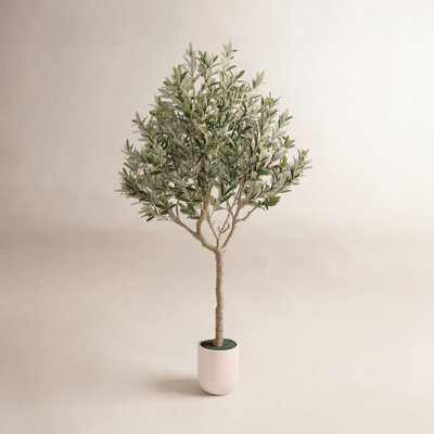 Ashwell Faux Olive Tree