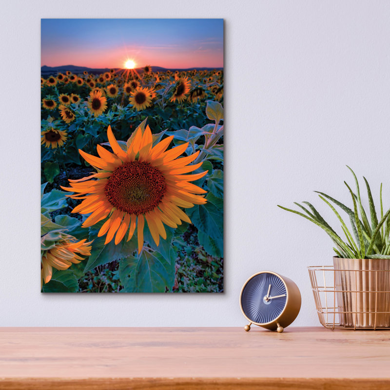 «Sunflower Sunset» par Rick Berk, H 16 po x l 12 po x P 0,13 po