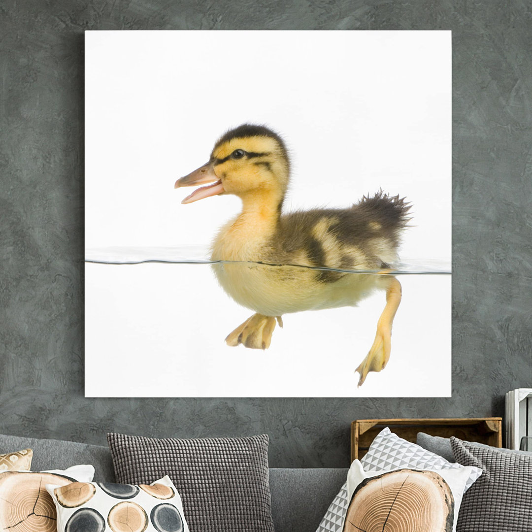 Leinwandbild Duckling I