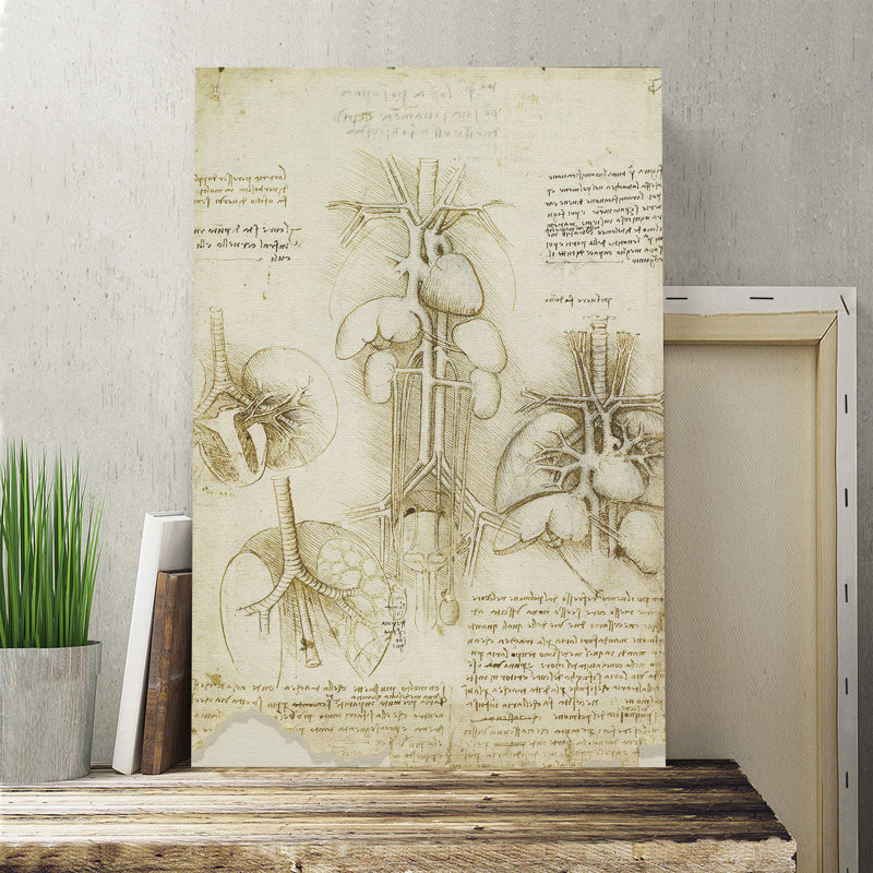 Leonardo Da Vinci - Wrapped Canvas Painting, 76cm H x 50cm W