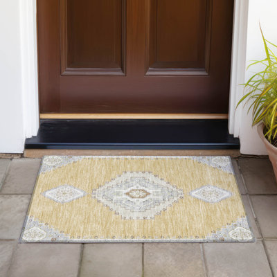 Machine Washable Indoor/Outdoor Chayden ACN1014 Rug